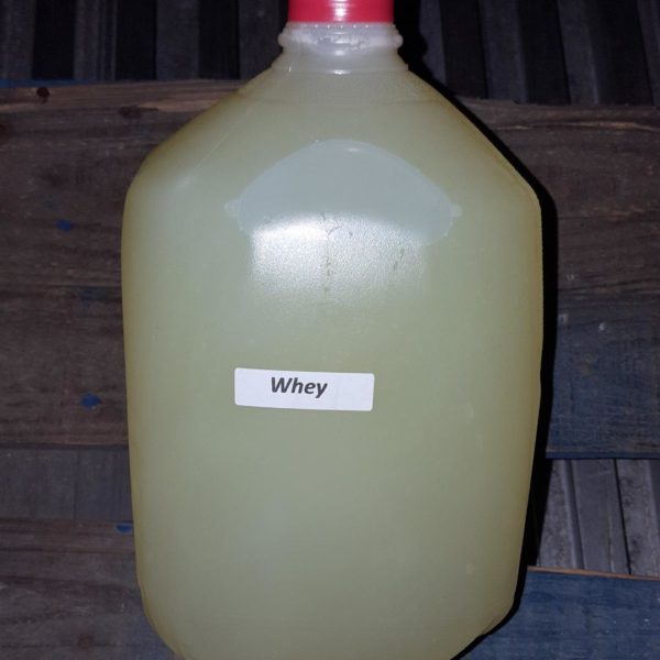 Liquid Yogurt Whey Amos Miller Organic Farm