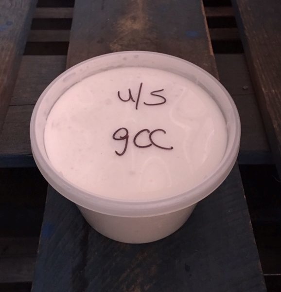 Goat A2 A2 Cottage Cheese No Salt Pint Amos Miller Organic